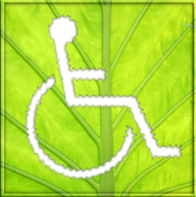 I Lubuski Tydzień Osób Niepełnosprawnych