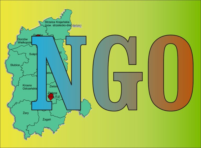 PORADNIK dla NGO!